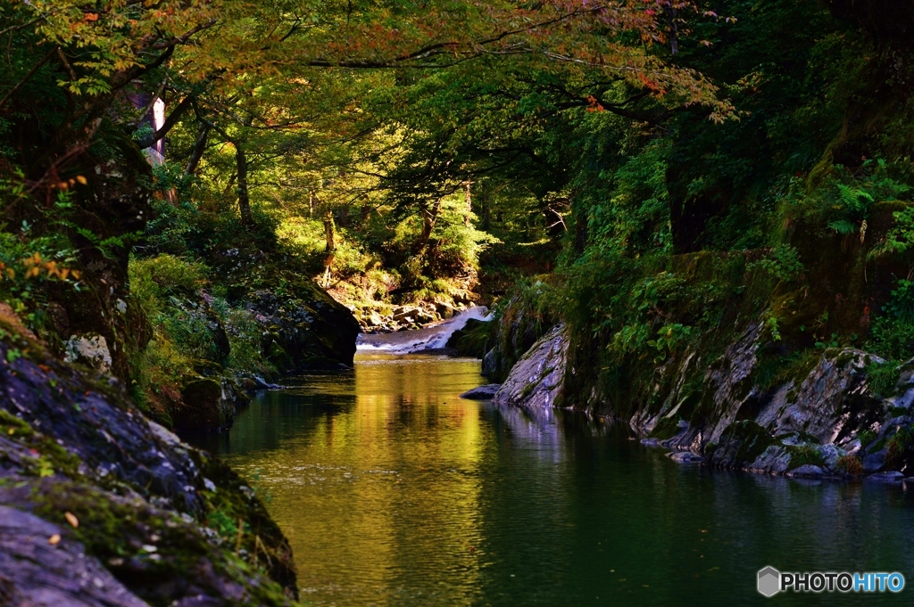 足羽川の渓流