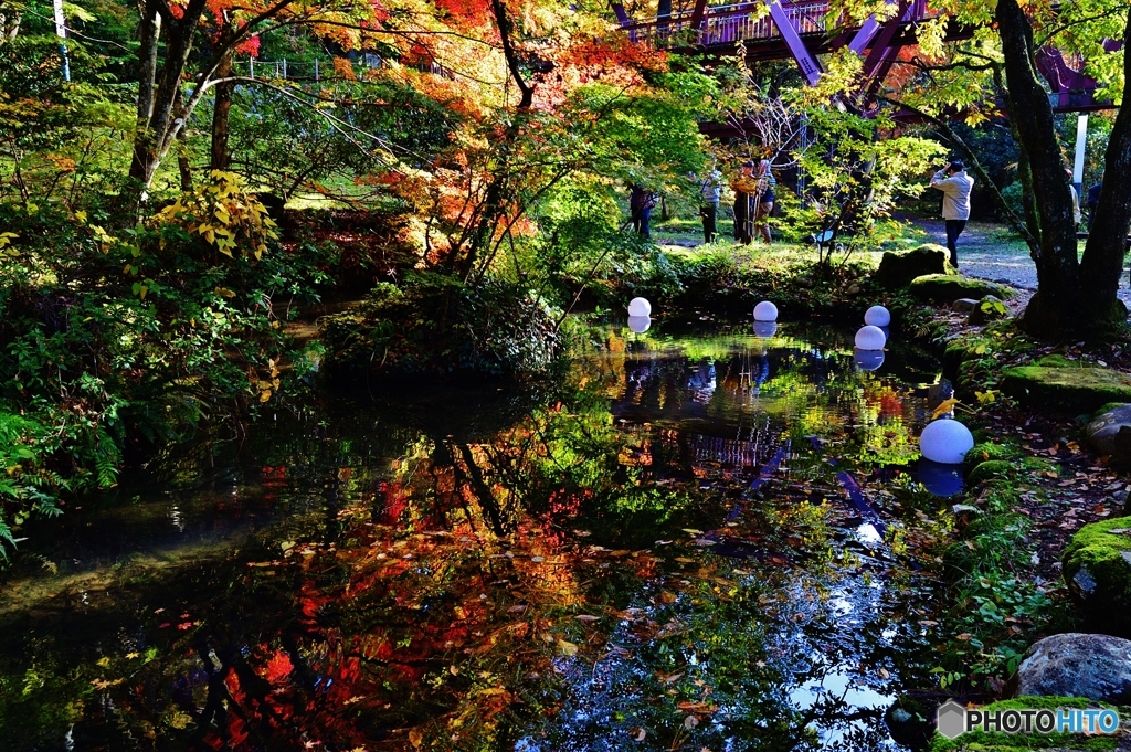あやとり橋
