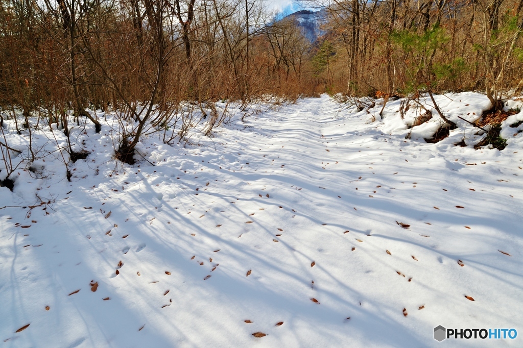 雪道
