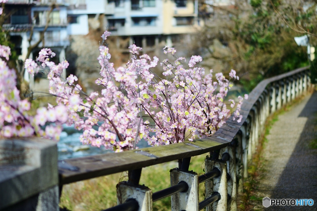 春気分