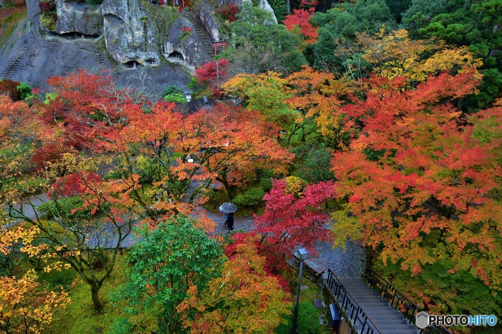 雨の那谷寺 紅葉