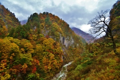 雨の白山麓