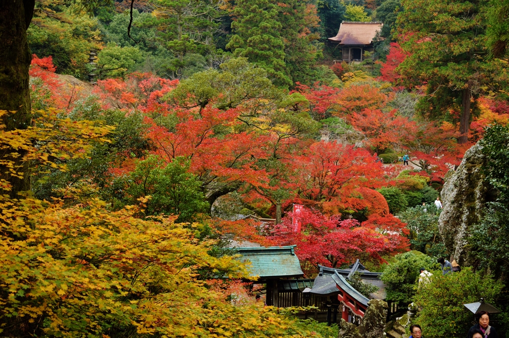 那谷寺の紅葉 (5)