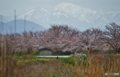 白山麓