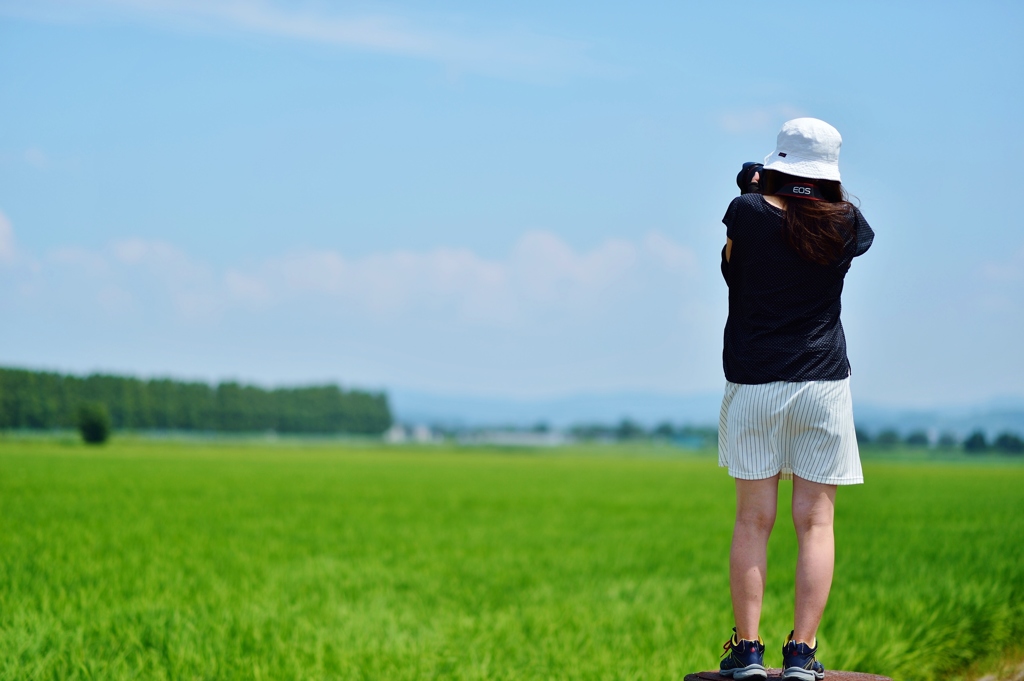 夏の日