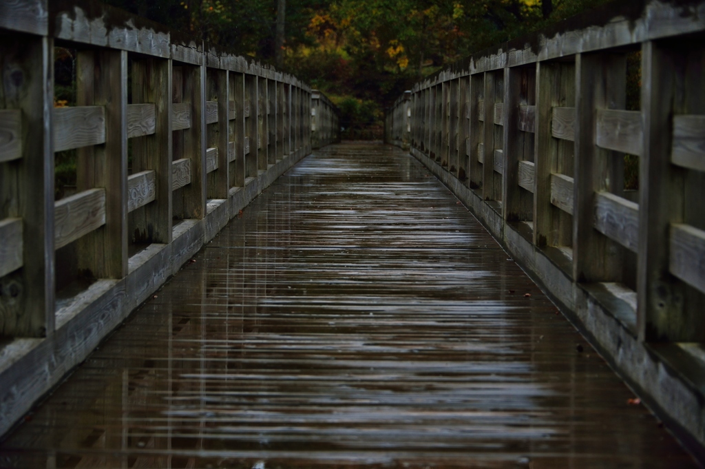 秋雨