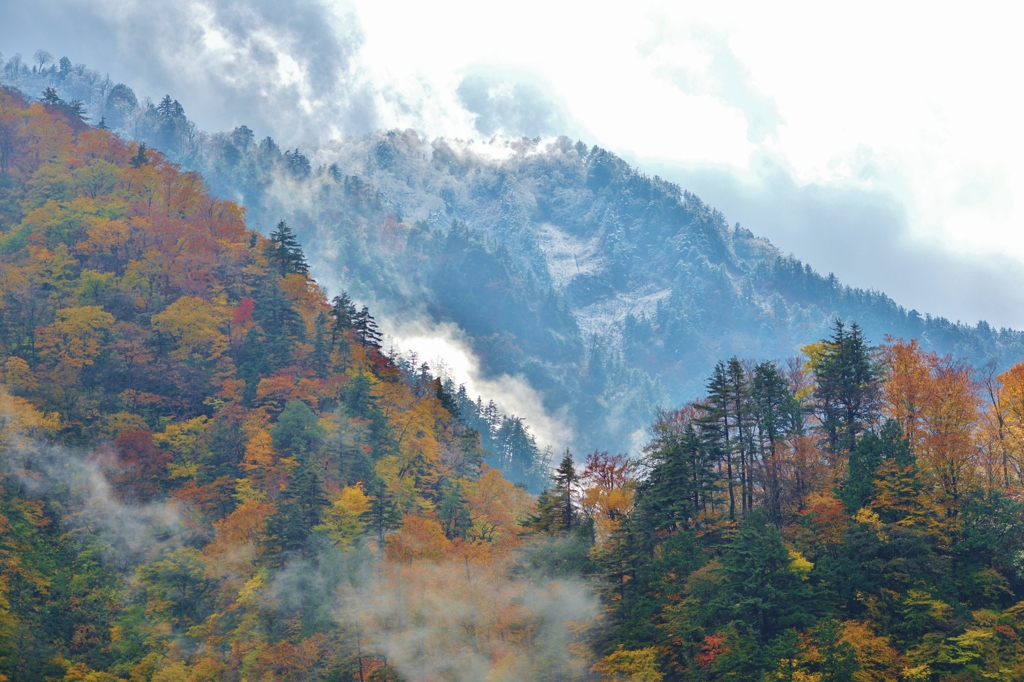 紅葉と冠雪