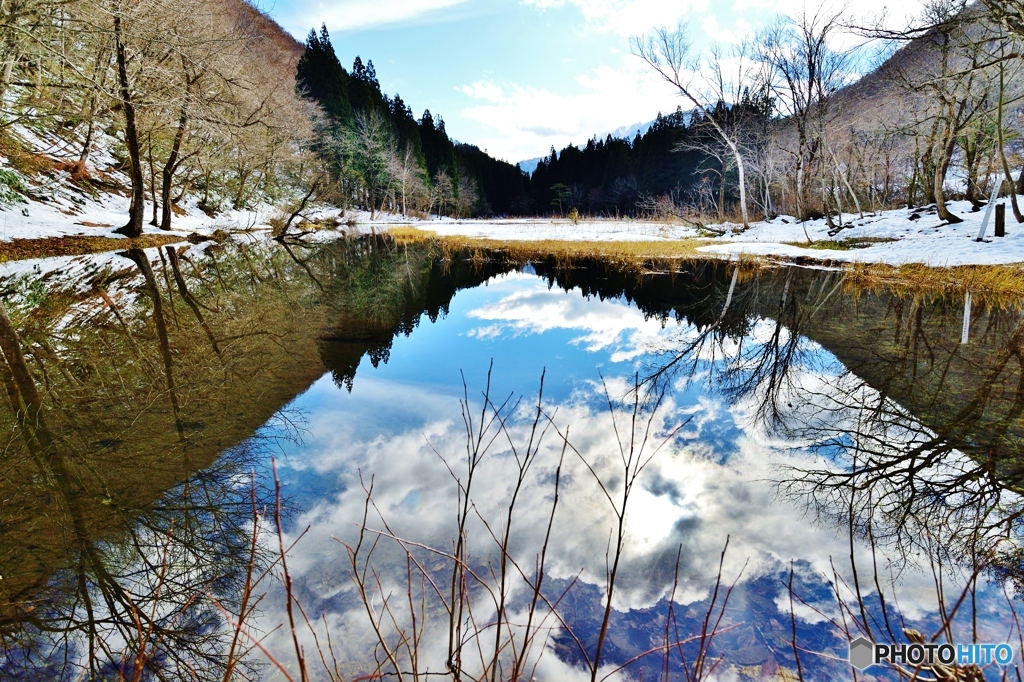 水芭蕉群生地