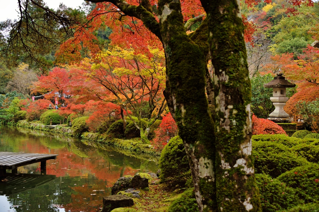 那谷寺の紅葉 (2)