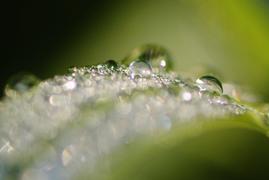 Water　jewelry