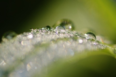 Water　jewelry