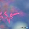 冬の色