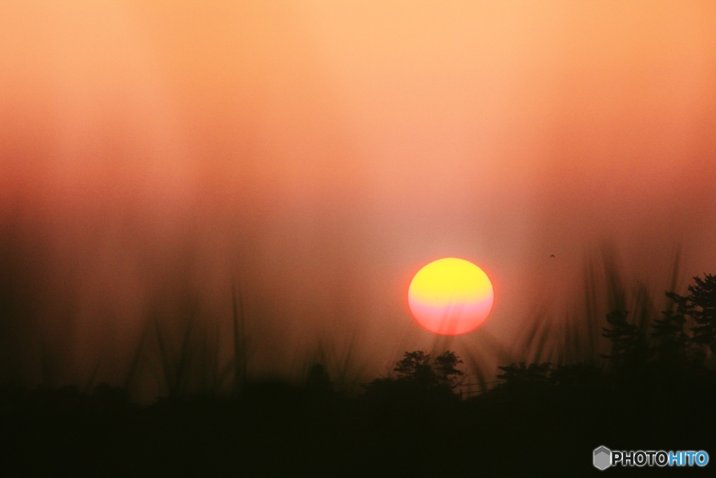 夕陽