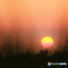 夕陽