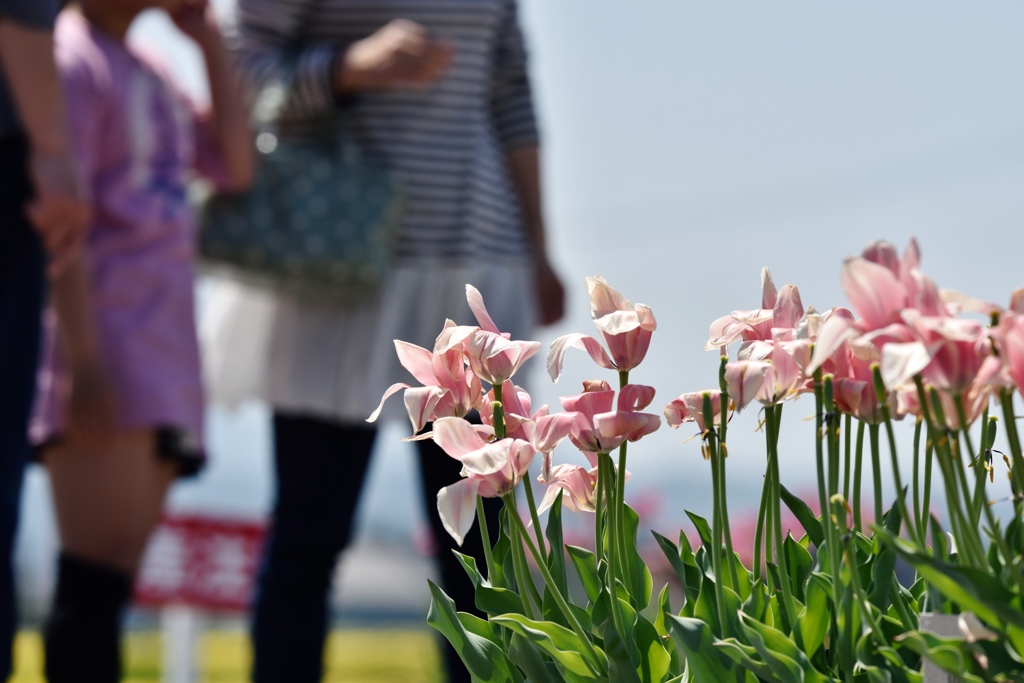 華