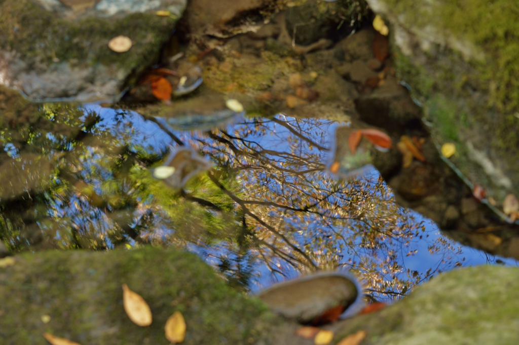 水鏡