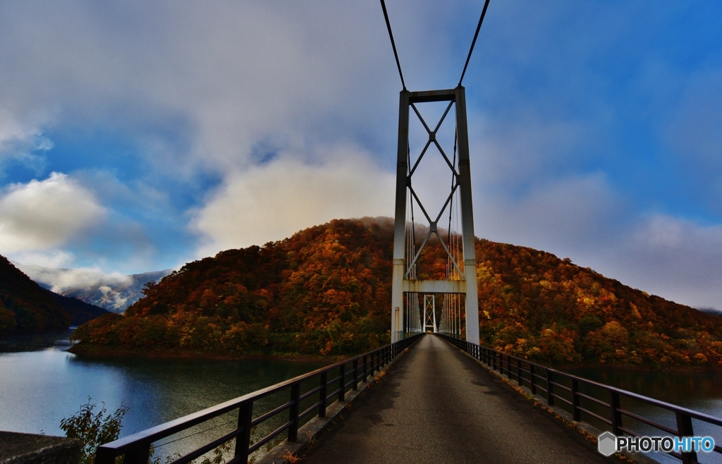 夢の架け橋