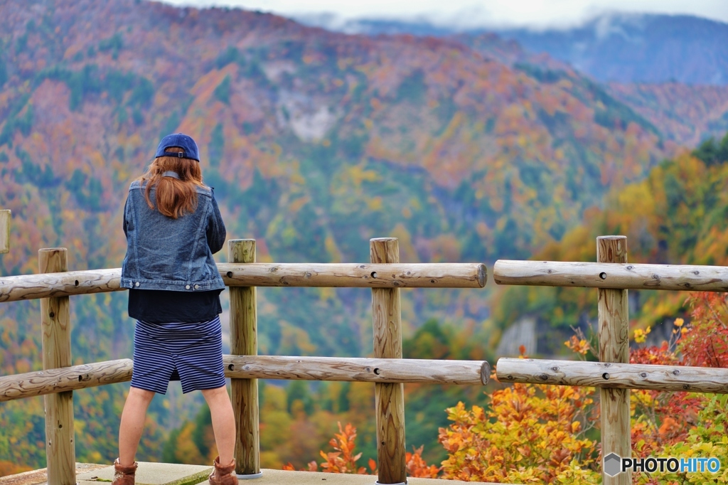 紅葉を撮る