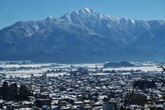 大野市