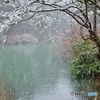 山の池