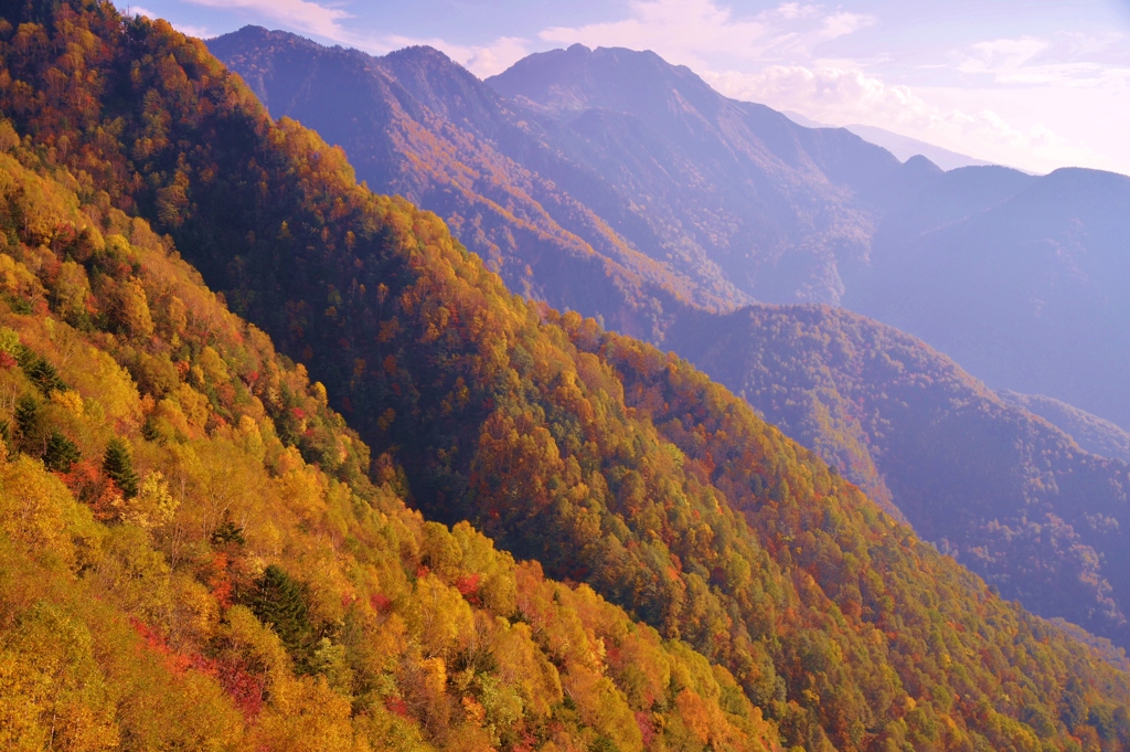 穂高の紅葉１