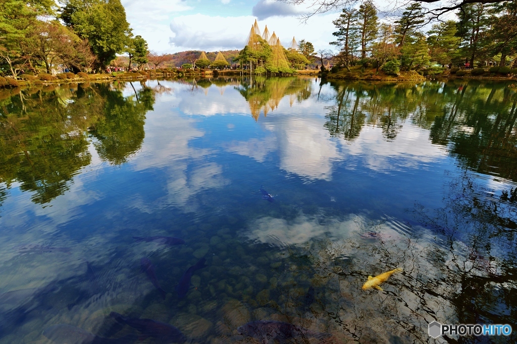 暖冬の兼六園 