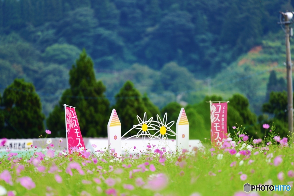 秋祭り