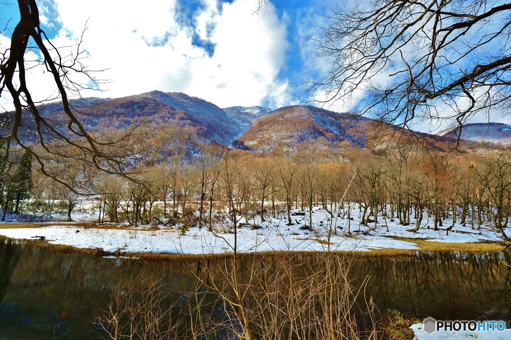 山の湿地帯