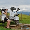 教授と助手
