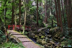 森の小川