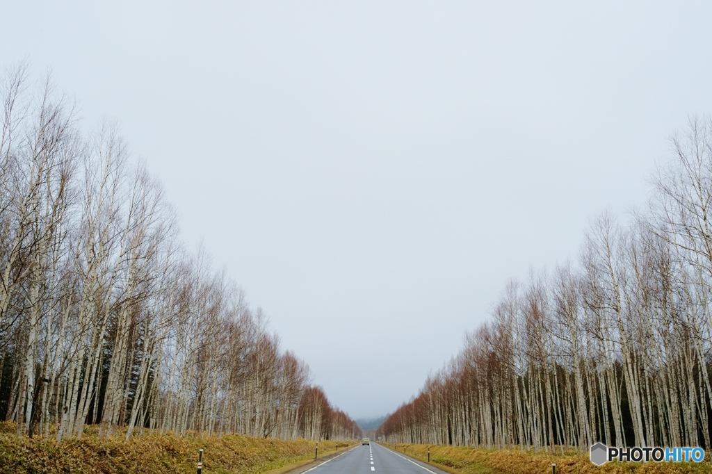 上士幌の路