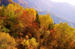 穂高の紅葉