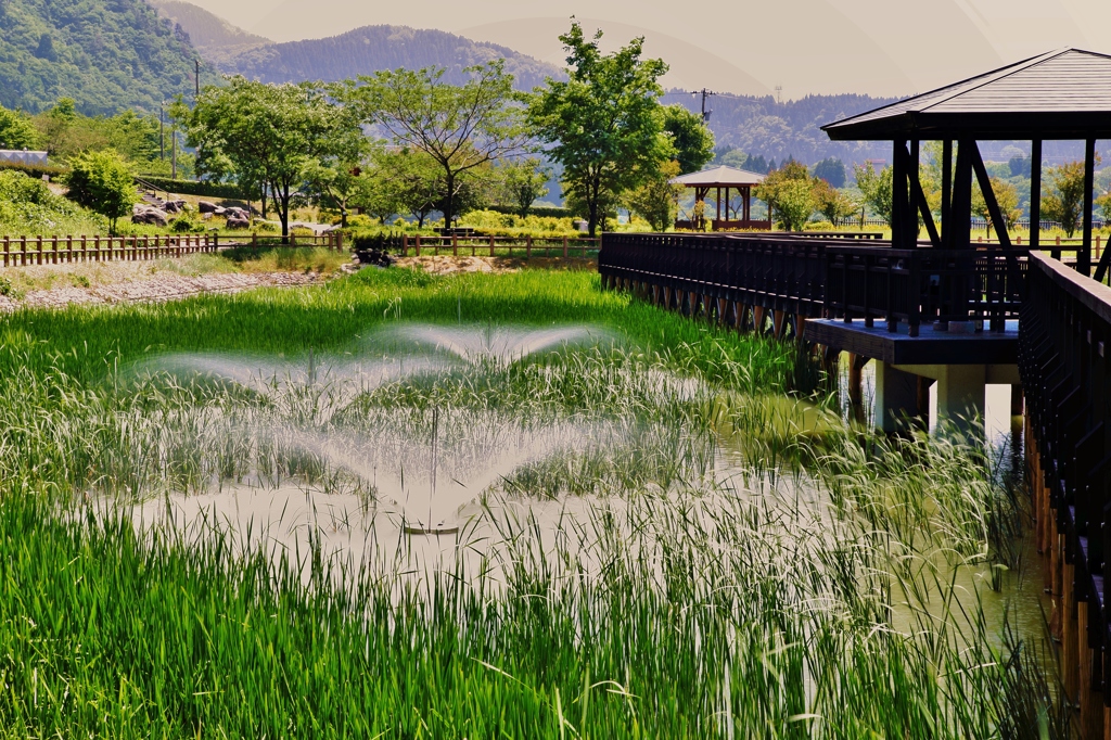 吉岡園地