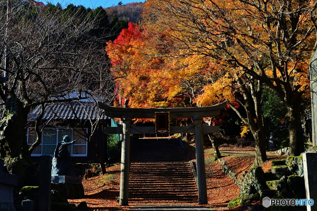 松木神社（熊川宿）