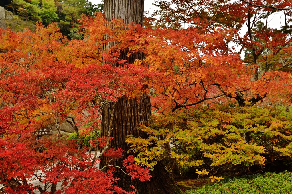 那谷寺の紅葉 (7)