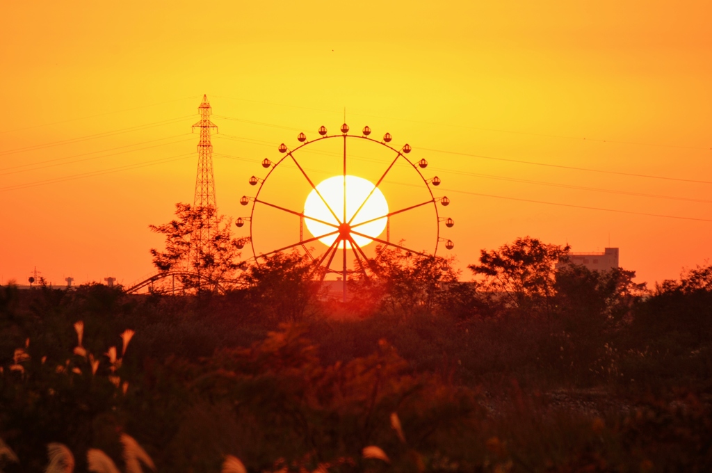 sunset・Ferris wheels