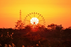 sunset・Ferris wheels