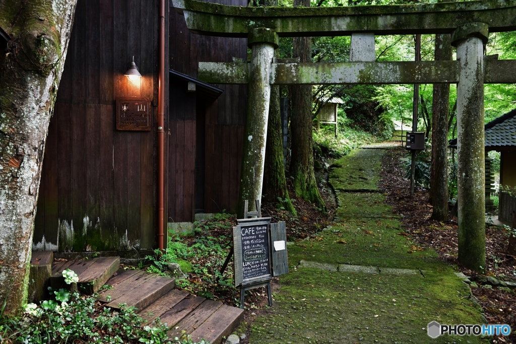 cafe