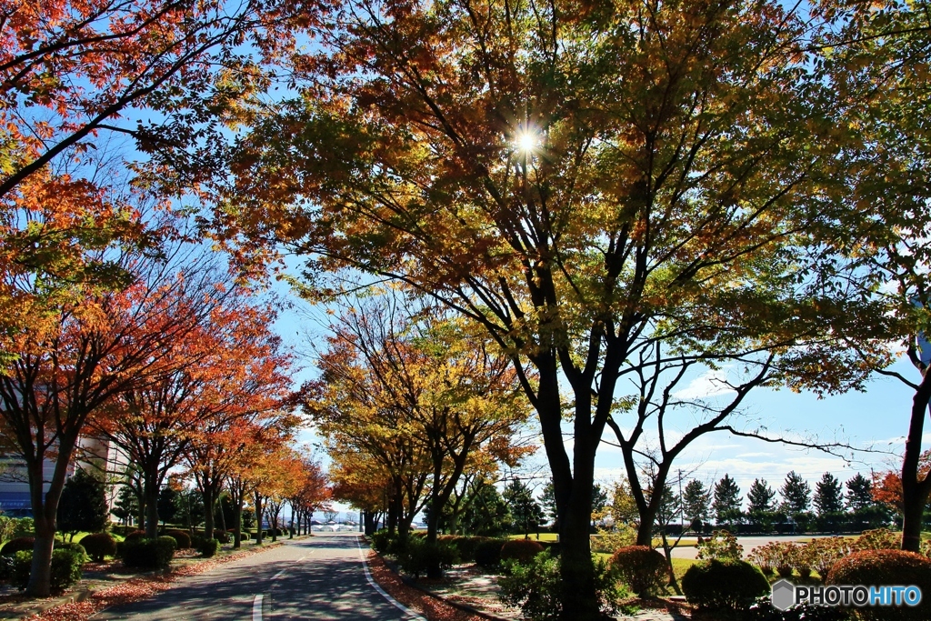 企業団地道路