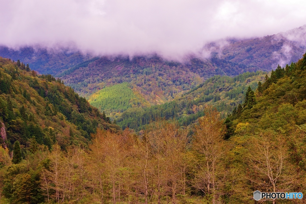 秋めく山