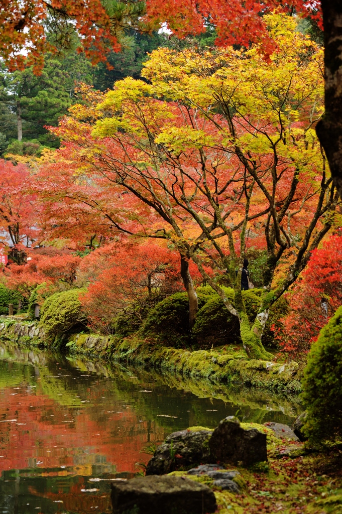 那谷寺の紅葉