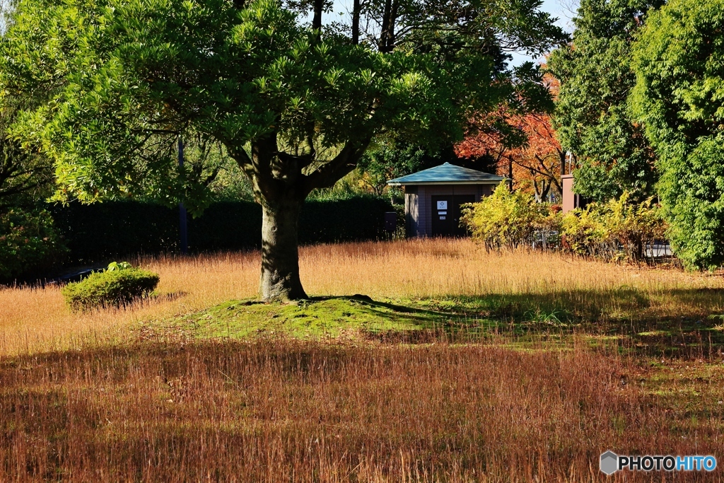 風化した公園