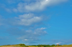 俺の空