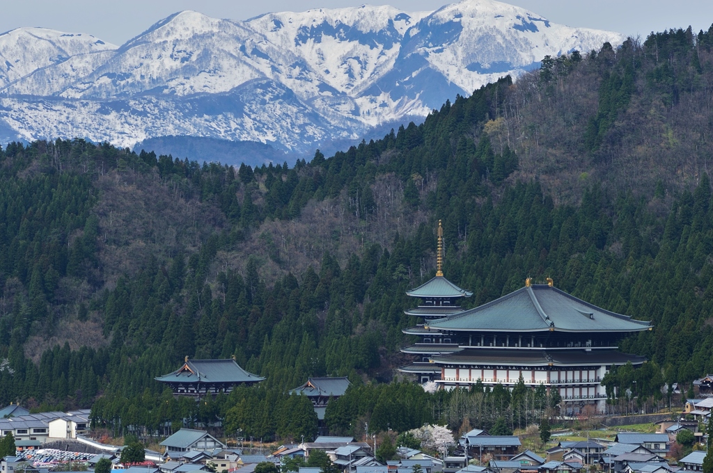 佛母寺