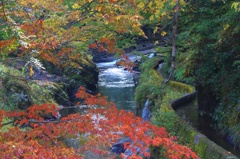 川と水路がある風景
