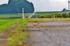 田舎道