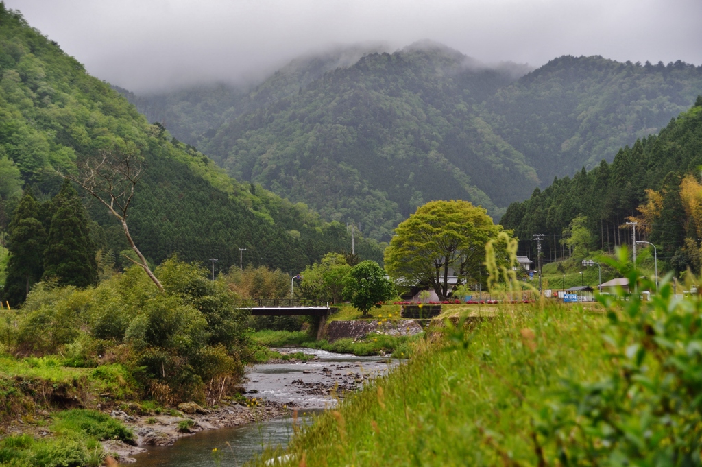 雨降る山奥