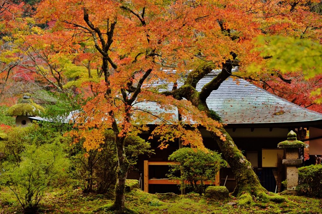 那谷寺の紅葉(1)