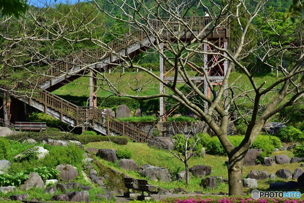 幾何学