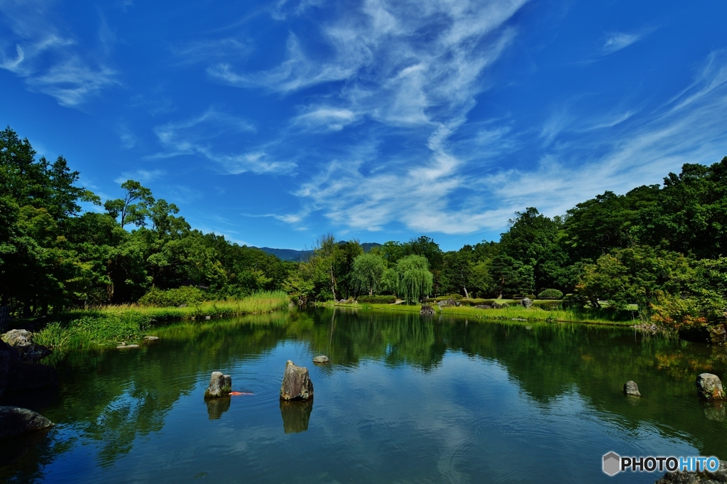 街の中の公園